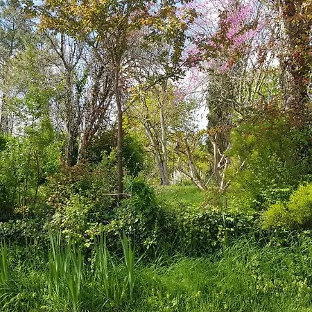 Casa de Férias Perigourdin La Picherie