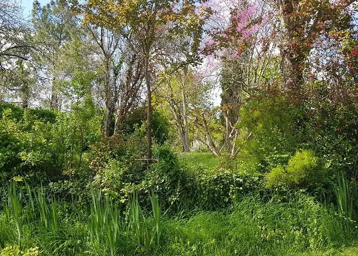 Holiday home Perigourdin La Picherie